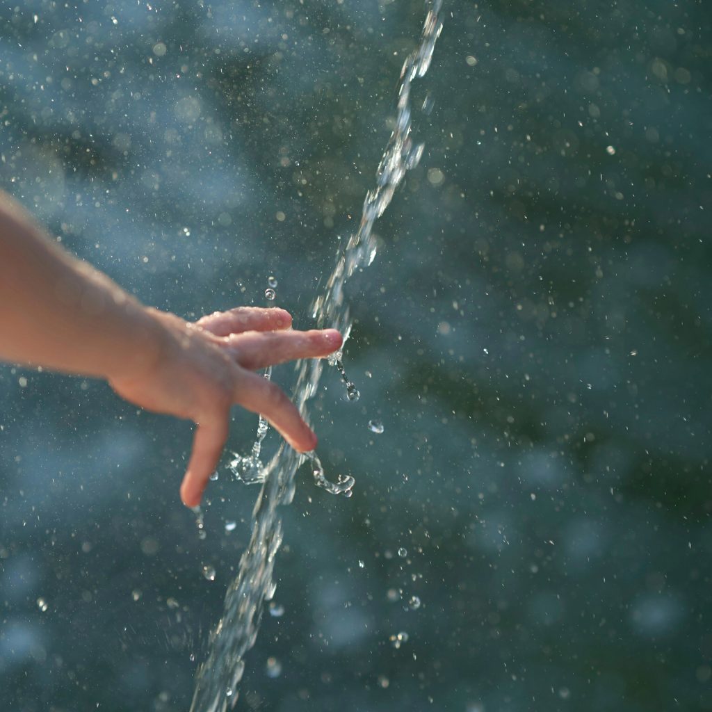 Sustainable living environmentalist hand holding green earth